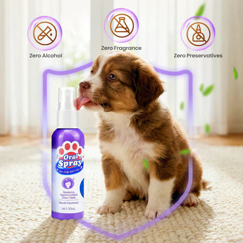 🥇Teeth Cleaning Spray for Pets🆙