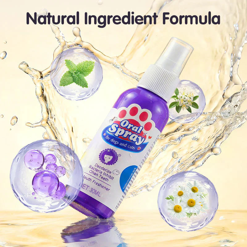 Most Popular (4 Bottles)