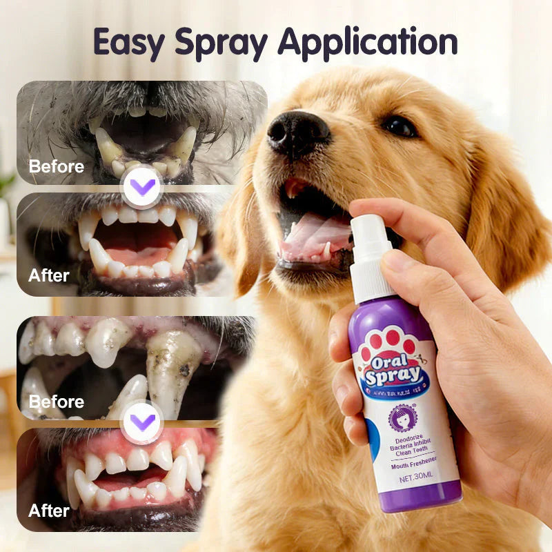 🥇Teeth Cleaning Spray for Pets🆙