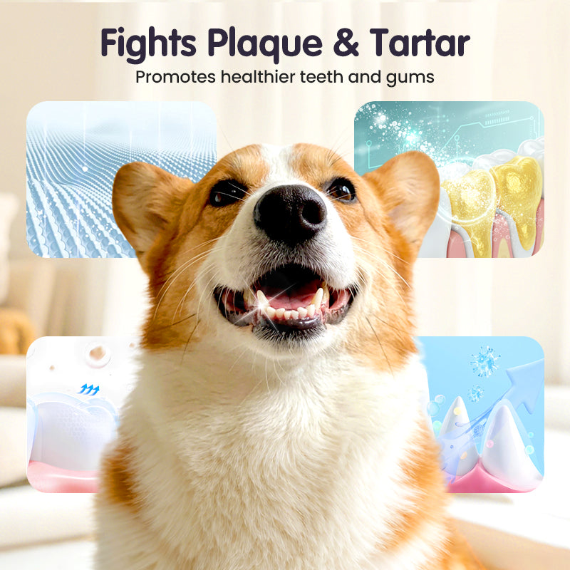 🥇Teeth Cleaning Spray for Pets🆙