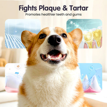 🥇Teeth Cleaning Spray for Pets🆙